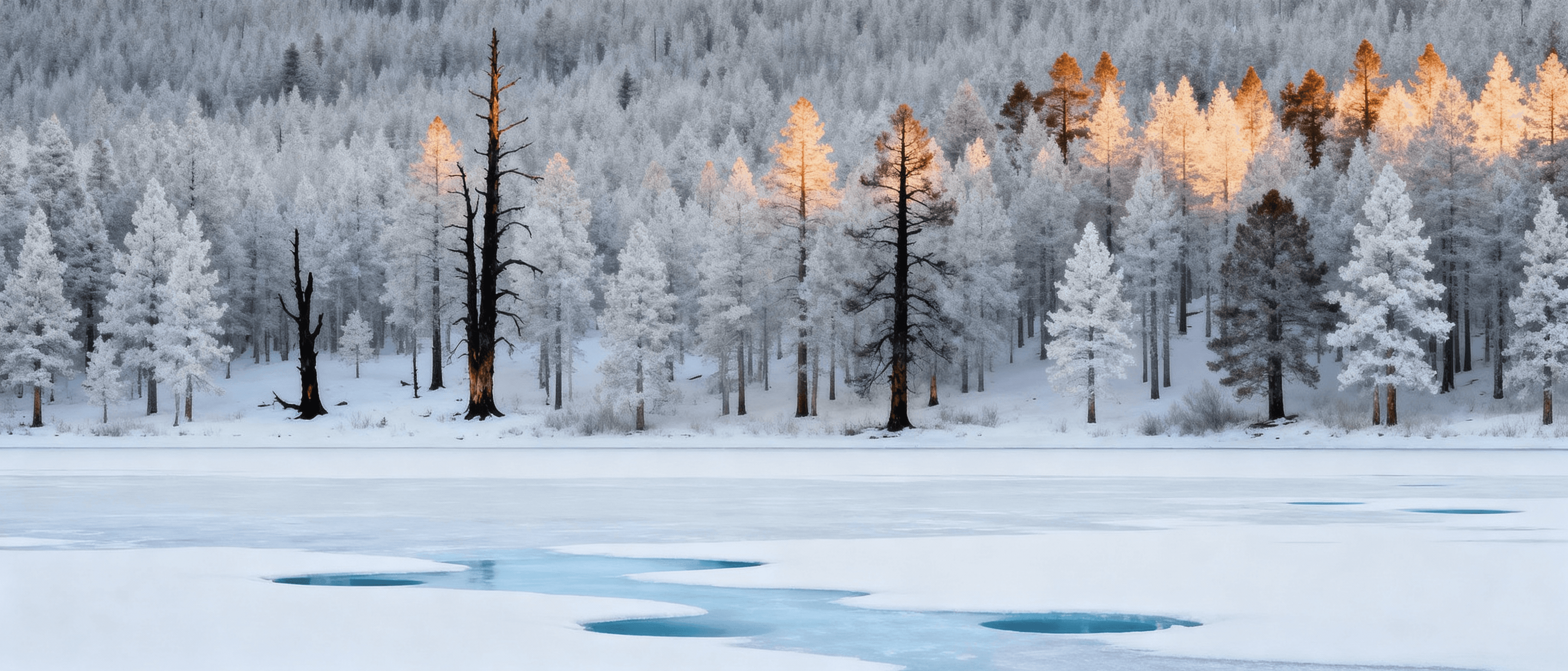 Winter Lake